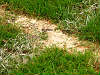 egvv_picture 046.jpg